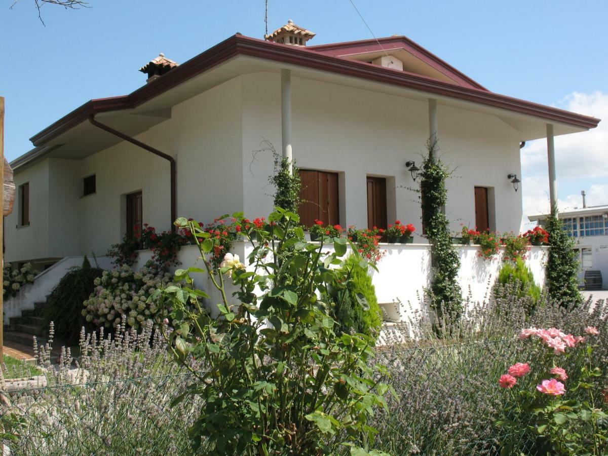 Agriturismo Ballaminut Terzo d' Aquileia Экстерьер фото